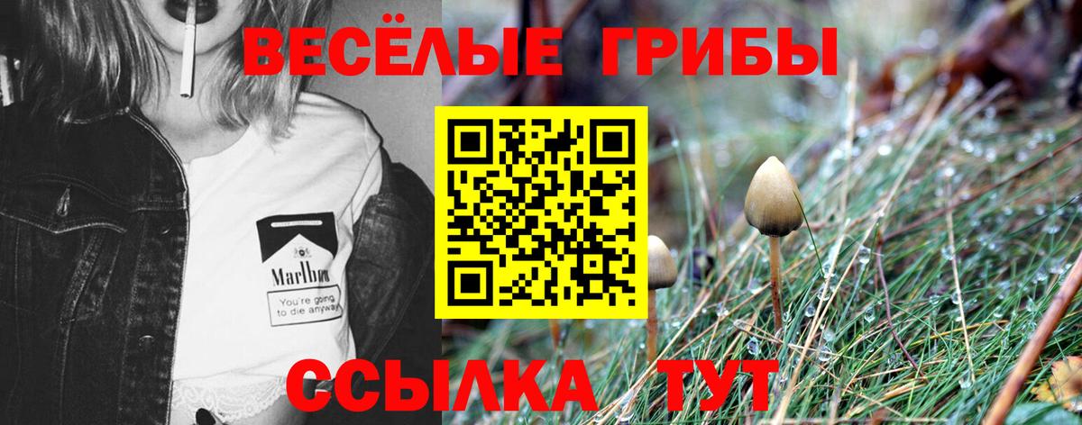 Галлюциногенные грибы мухоморы  Вход с VPN  Кондопога 
